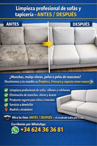 Limpieza profesional de sofás y tapicería