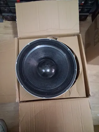 Woofer prototipo Chess Audio