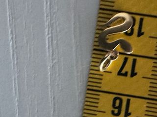 Colgante Dodo Oro 18k