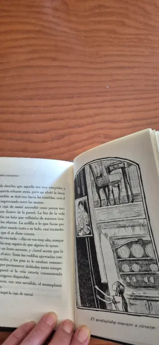 LIBRO FANTASTICO, EL: SPIDERWICK. LAS CRONICAS ...