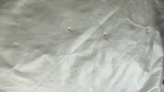 Nevera isotérmica portátil con 5 bloques de hielo