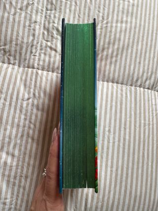 Reconquista del Reino de la Fantasía. Décimo vi...