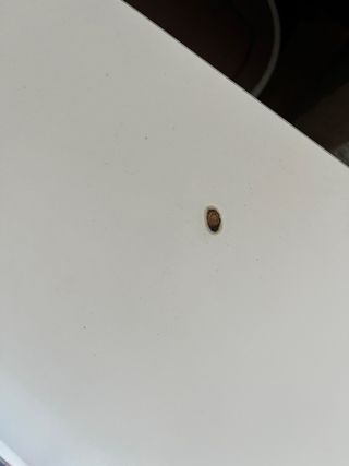 Mesa blanca elevable