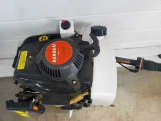 Motor fueraborda gasolina