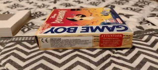 Pocahontas Game Boy