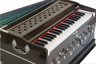 Armonio Indio Tradicional