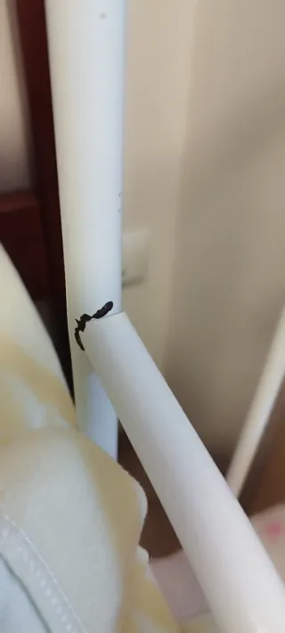 Cama Ikea Forja 80x190