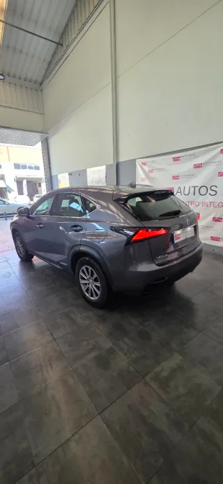 Lexus NX 2017