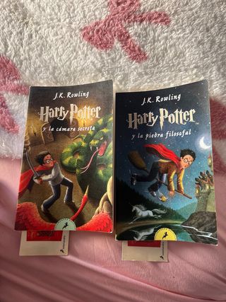 Harry Potter y la cámara secreta (Harry Potter ...