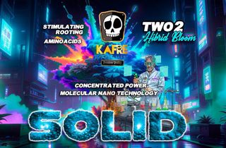 Maceta de tela 5 galones (19L) Paquete de 10 macet