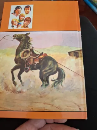 HOLLISTER Y EL RELOJ DE CUCO, LOS