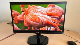 Monitor LG 23 IPS Negro