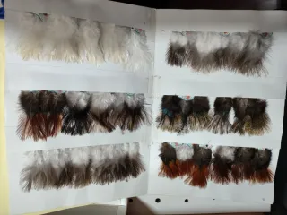 Plumas, anzuelos,hilos ,etc
