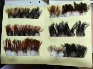 Plumas, anzuelos,hilos ,etc