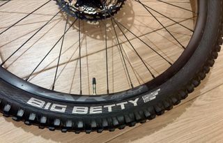 2 Neumáticos Schwalbe 29x 2.40 (nuevos).