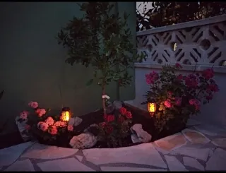 Antorchas Solares LED x6