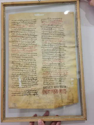 Lámina Medieval enmarcada Árbol de la Vida