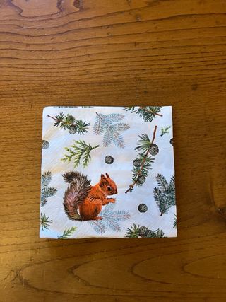 Tovaglioli con scoiattolo e pigne 20pz