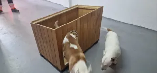 Caseta de madera para perros