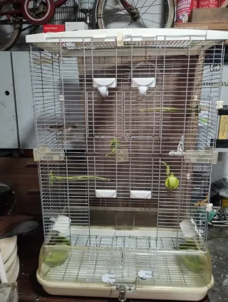 Jaula para pájaros grandes