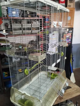 Jaula para pájaros grandes