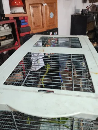 Jaula para pájaros grandes