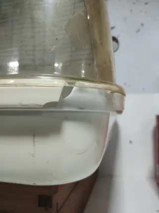 Jaula para pájaros grandes