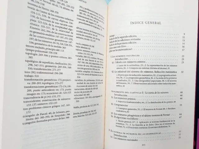 Que son las matematicas?. Conceptos y metodos