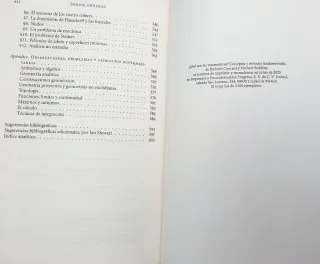 Que son las matematicas?. Conceptos y metodos