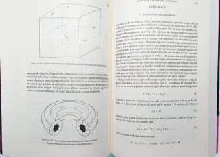 Que son las matematicas?. Conceptos y metodos