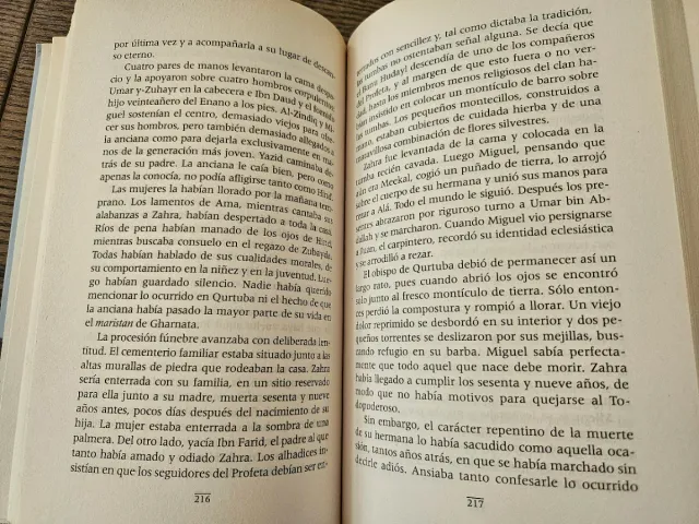 A la sombra del granado - Ali Tariq