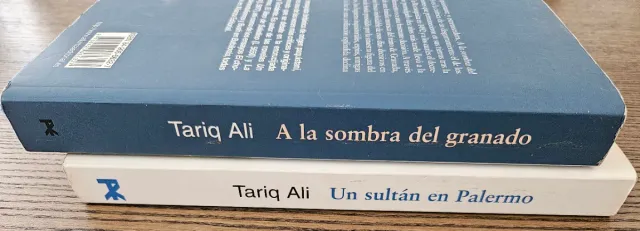A la sombra del granado - Ali Tariq