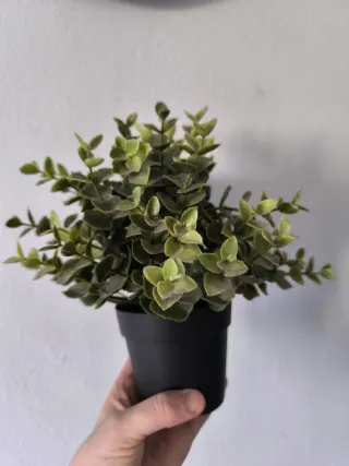 Planta artificial decorativa