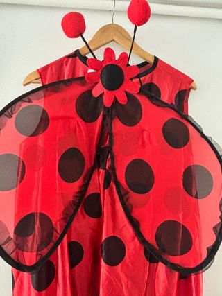 Disfraz Mariquita Adulto Talla Única