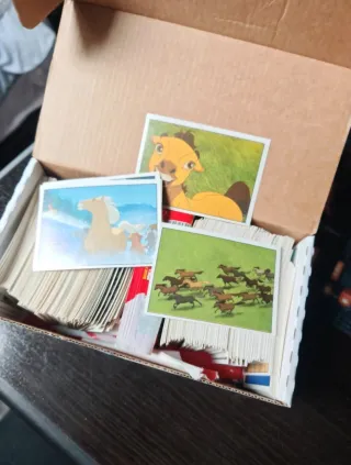 Spirit Cavallo Selvaggio - Carte