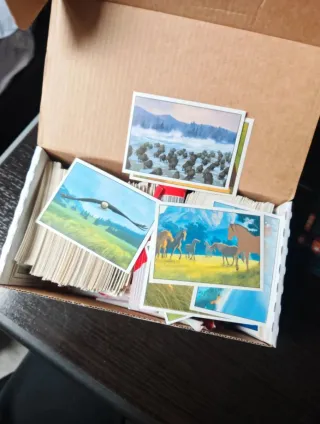 Spirit Cavallo Selvaggio - Carte