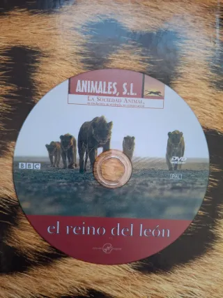 Cazadores reales: felinos