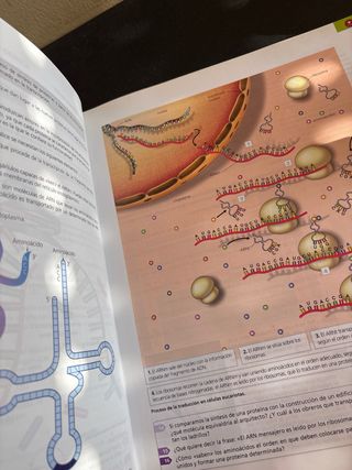 Libros biologia y geologia 4° ESO