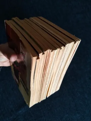 Lote Novelas gráficas del Oeste.