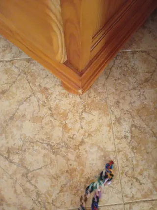 Vitrina de pino macizo con puertas de cristal