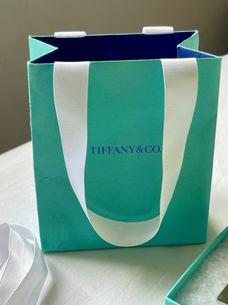 Cadena Tiffany & Co. Forge 18in Plata (Full Set)