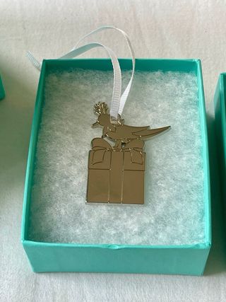 Cadena Tiffany & Co. Forge 18in Plata (Full Set)