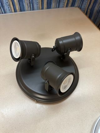 2 lampade da soffitto