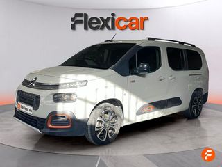 Citroën Berlingo Talla XL BlueHDi 100 SHINE - 7P (2019)
