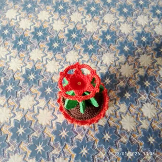 Piantina decorativa uncinetto