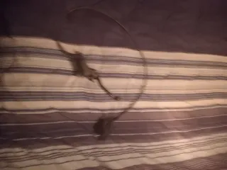 Freno de disco delantero moto