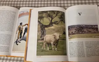 El cossío Libro taurino