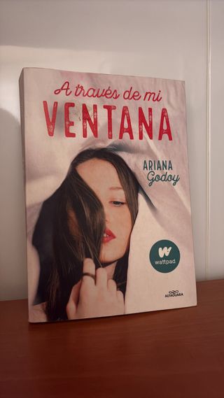 Libro A través de Mi Ventana