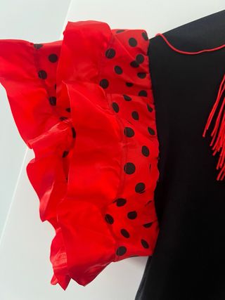 Disfraz de flamenca mujer – Muy buen estado – L