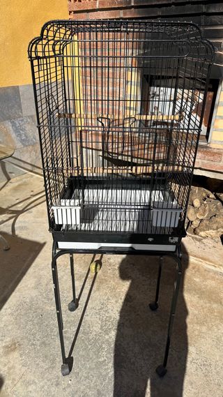Jaula para loro grande Se pueden quitar las patas